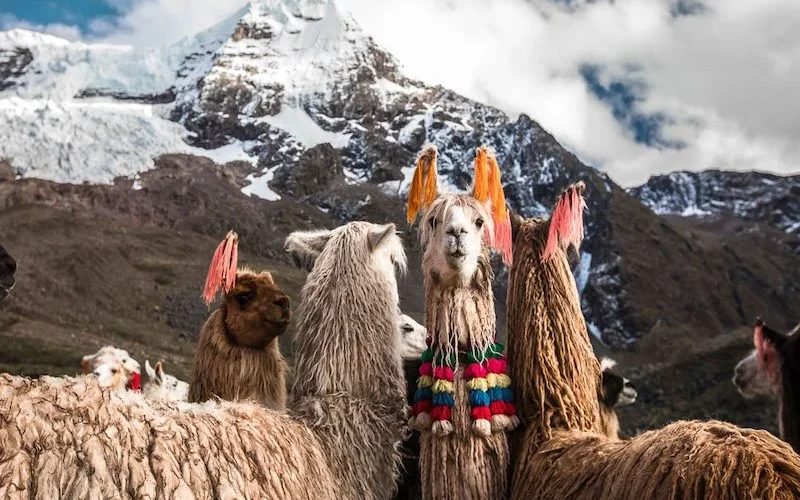 Ausangate Trek (5 Días)