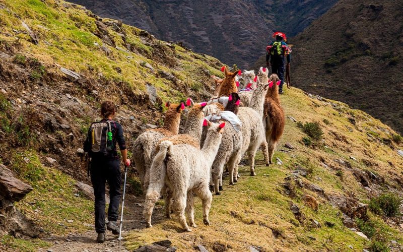 Trek de Lares a Machu Picchu (4 Días)