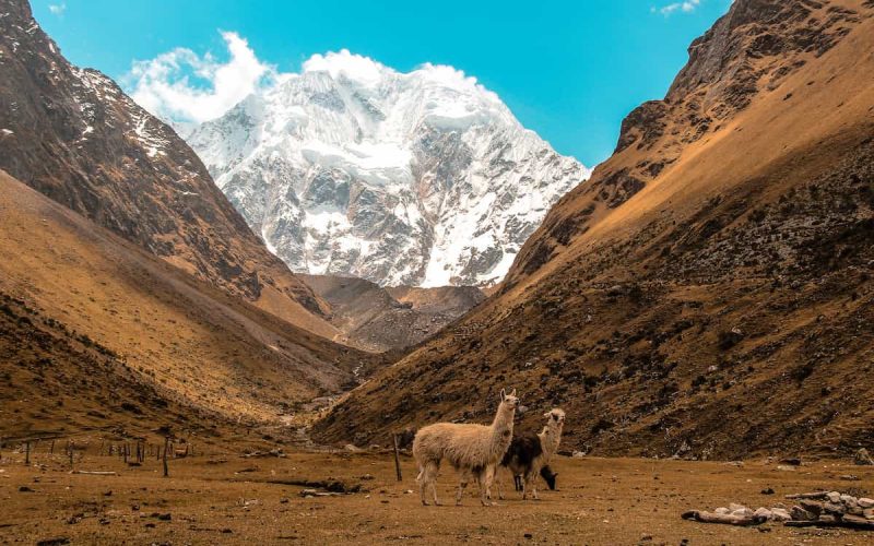 Salkantay Trek a Machu Picchu desde Cusco (5 Días)